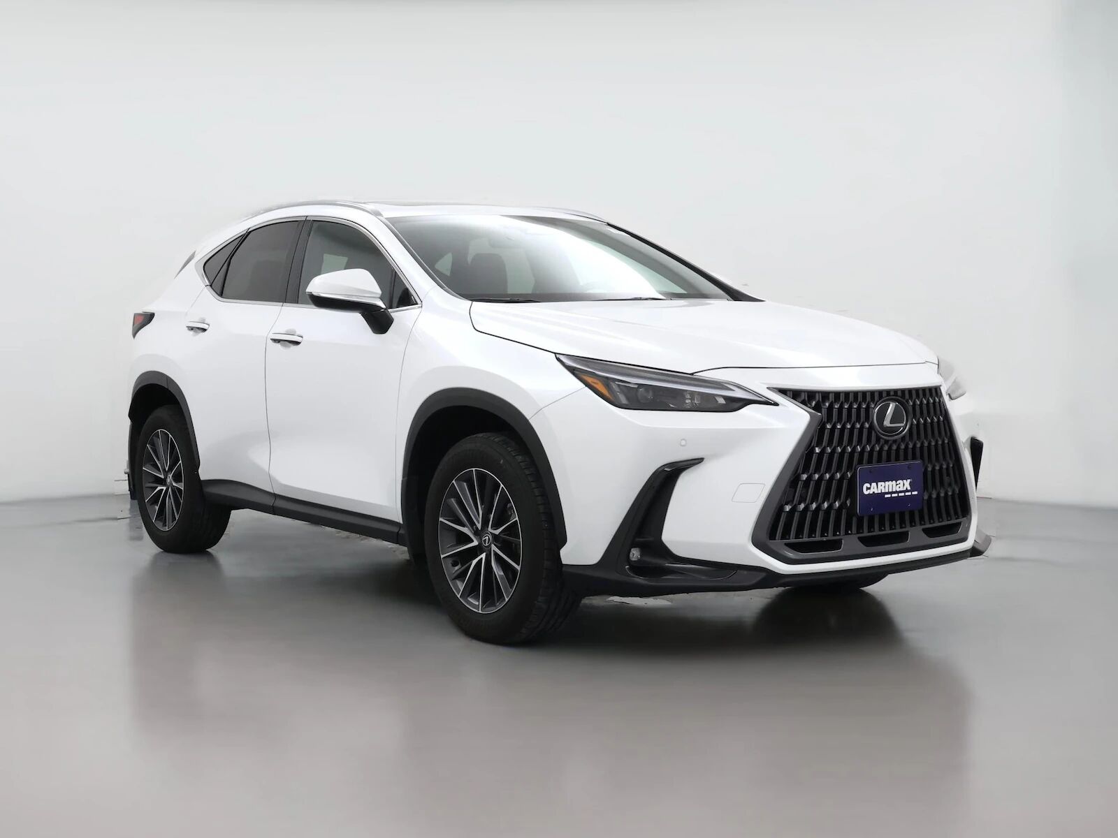 2025 LEXUS NX