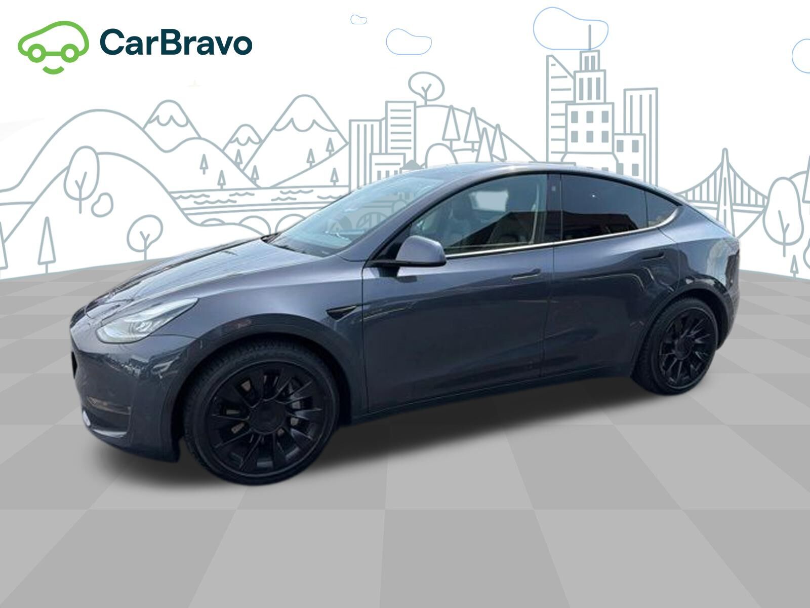 2021 TESLA Model Y