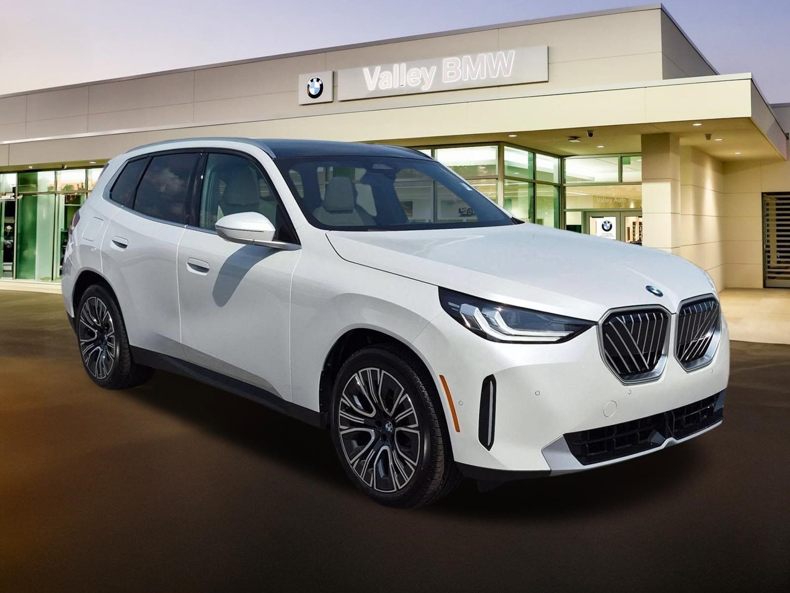 2026 BMW X3