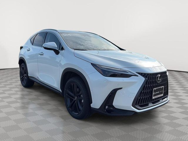 2024 LEXUS NX