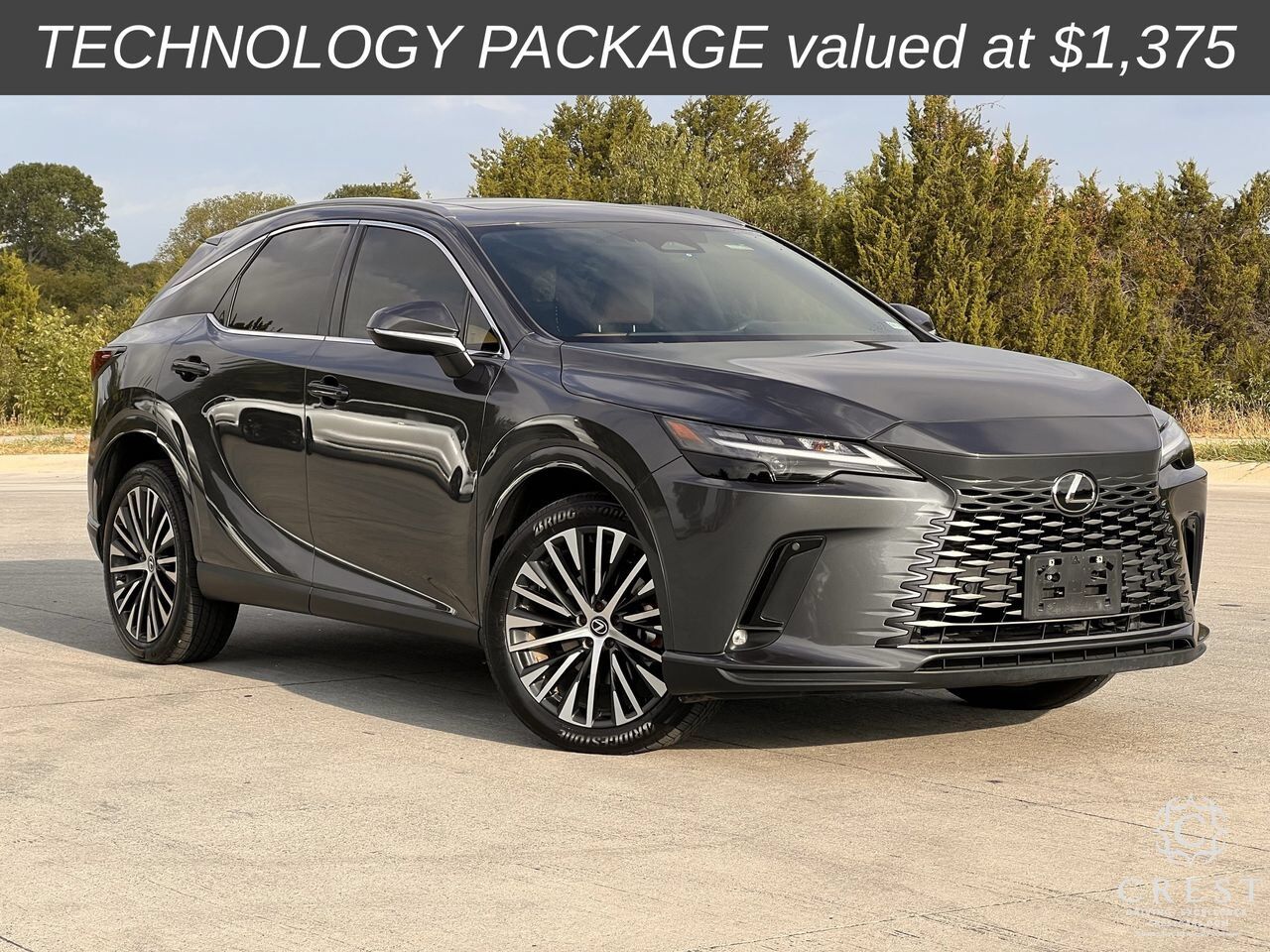 2024 Lexus RX