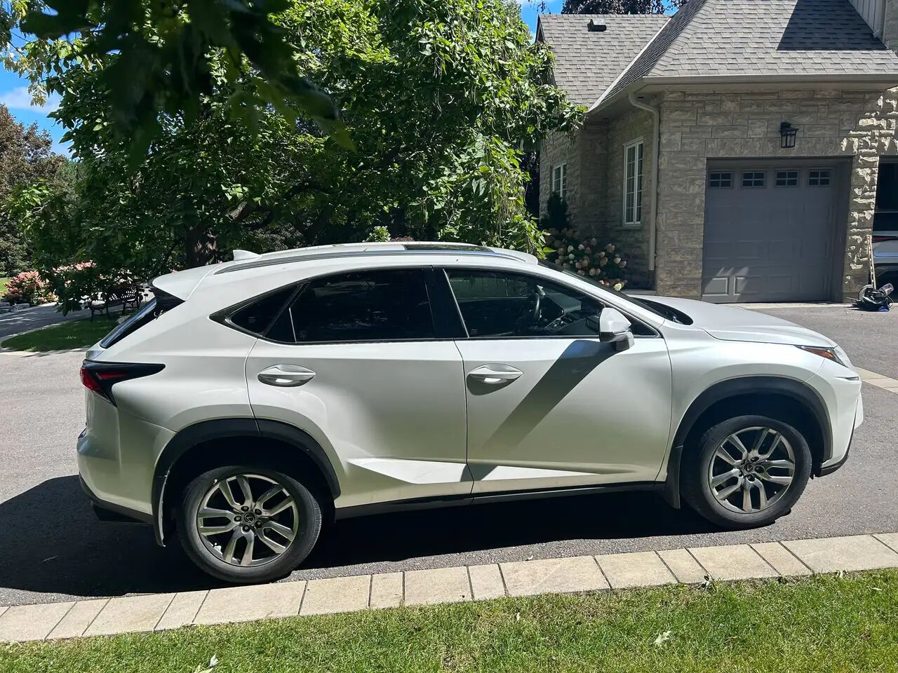2019 Lexus NX