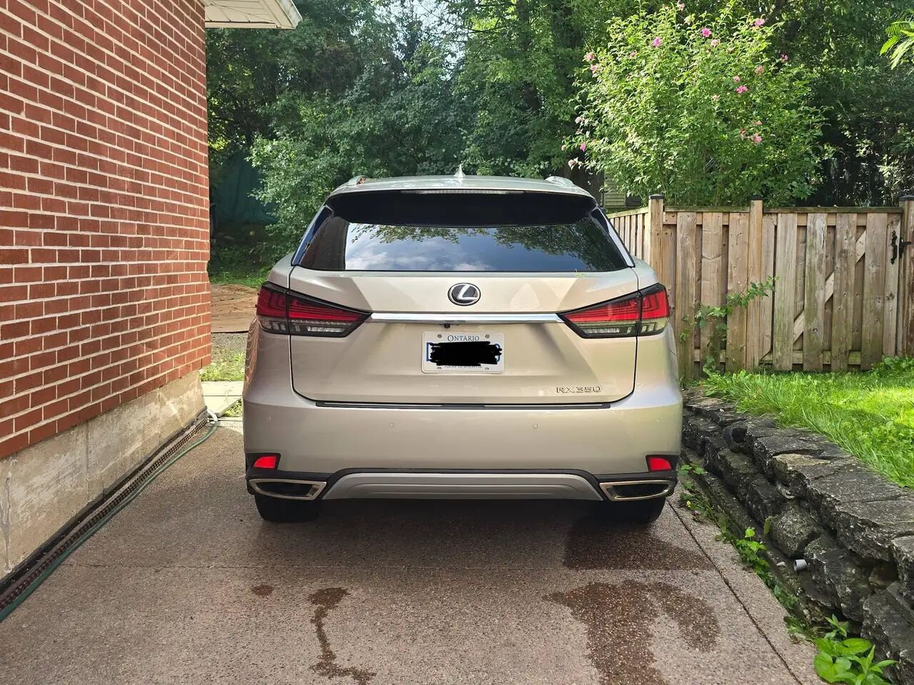 2020 Lexus RX