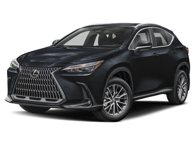2024 LEXUS NX