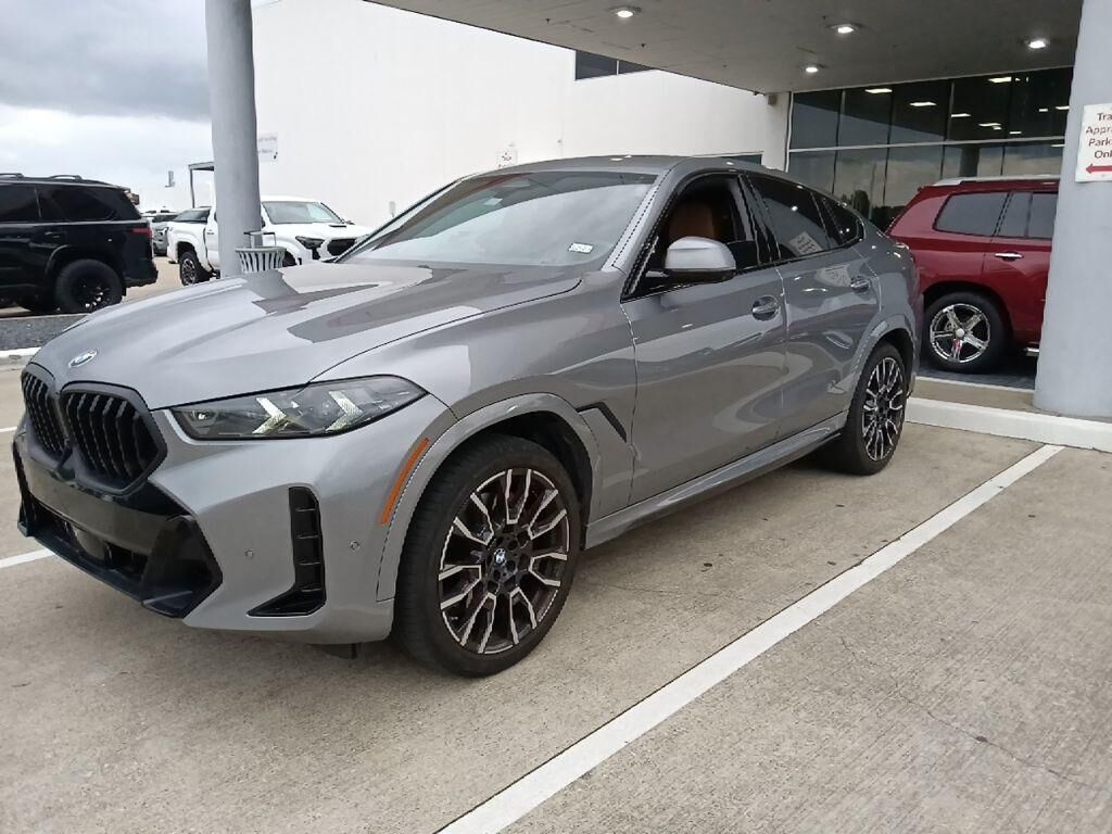 2024 BMW X6