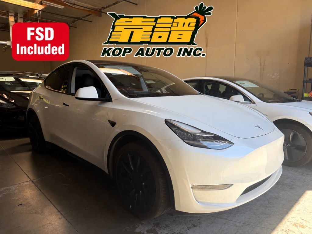 2020 TESLA Model Y