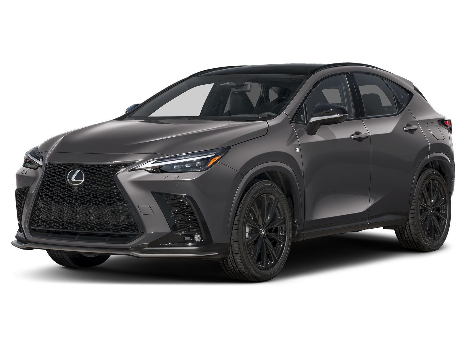 2026 LEXUS NX