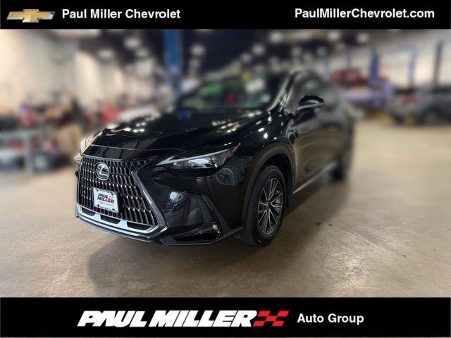 2023 LEXUS NX