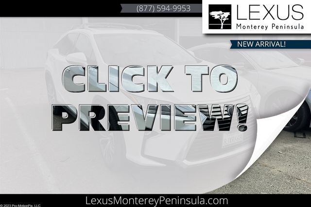 2019 LEXUS RX