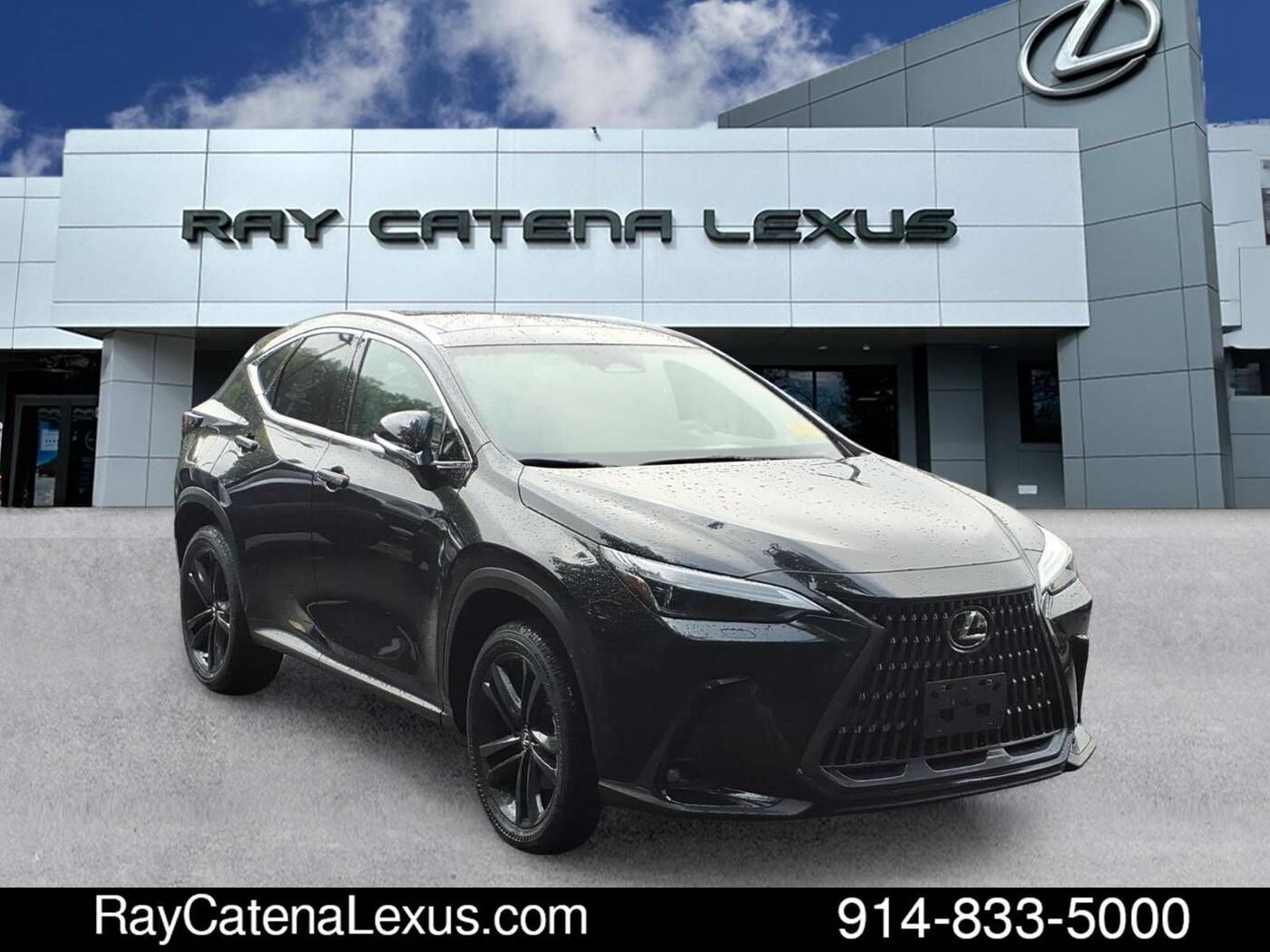 2025 Lexus NX