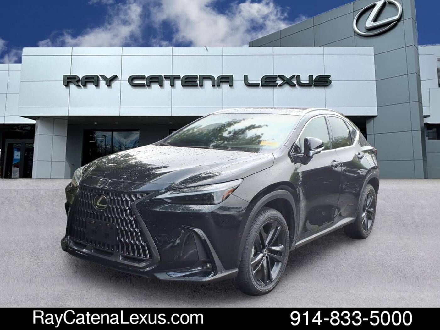 2025 LEXUS NX
