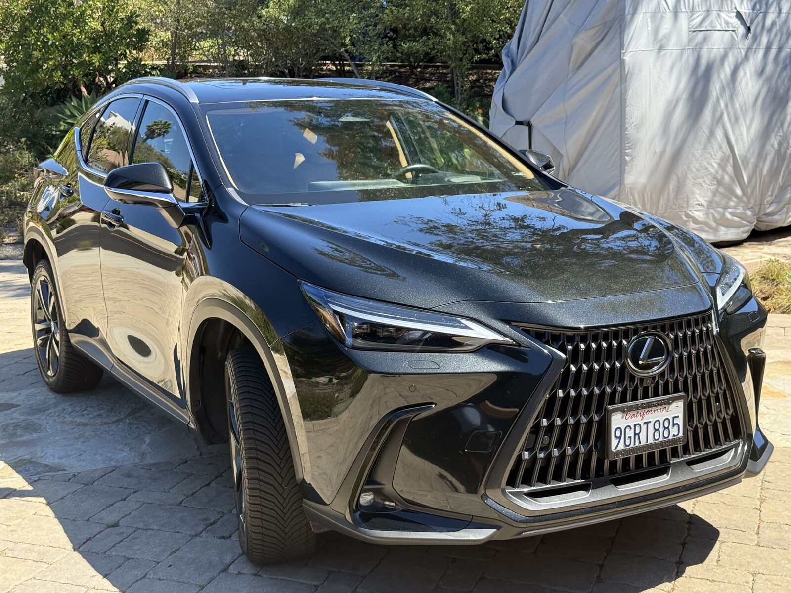 2024 Lexus NX