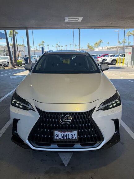 2024 Lexus NX