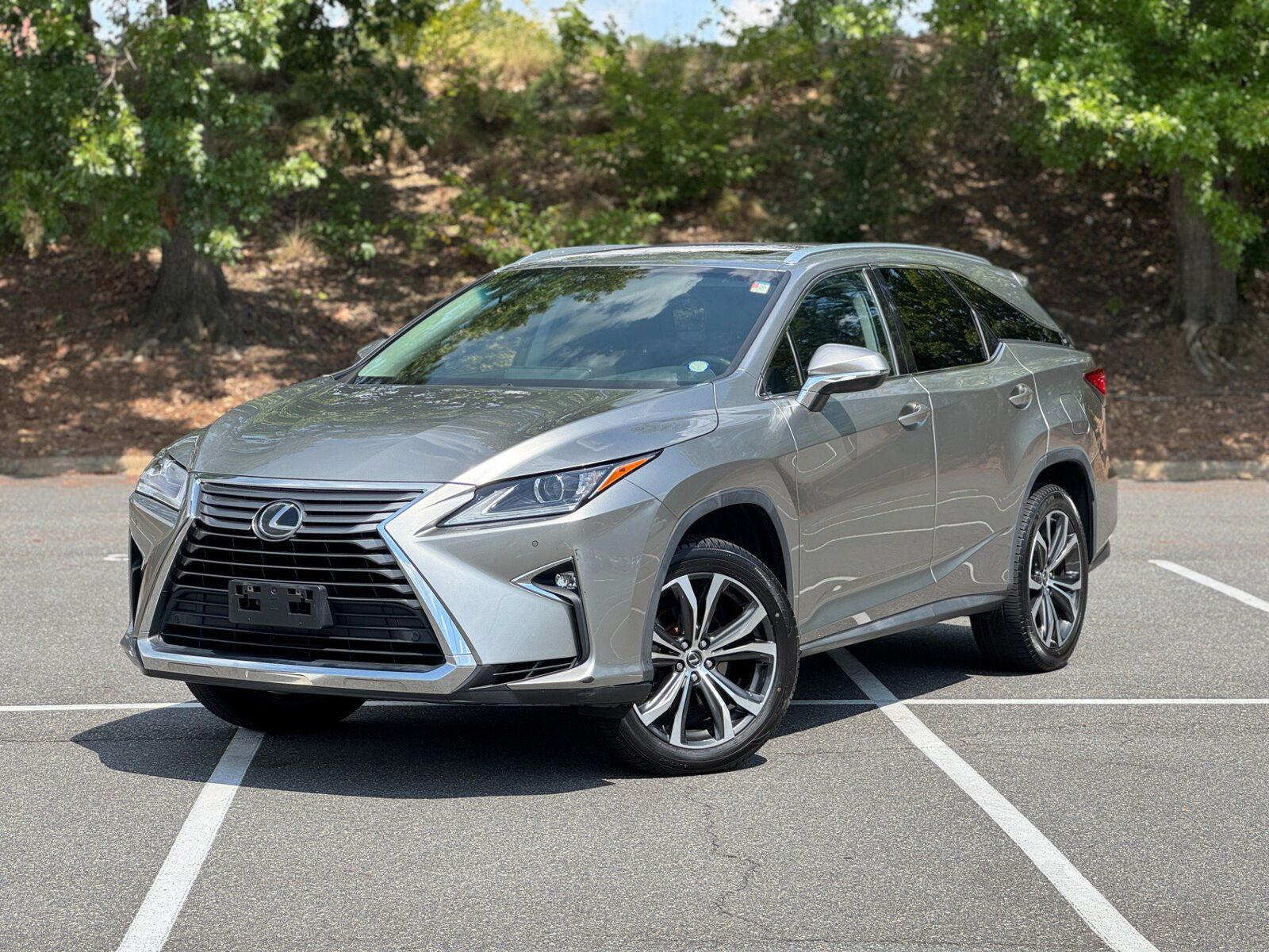 2019 LEXUS RX