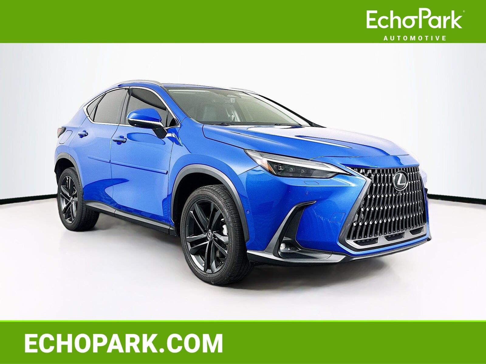 2022 LEXUS NX