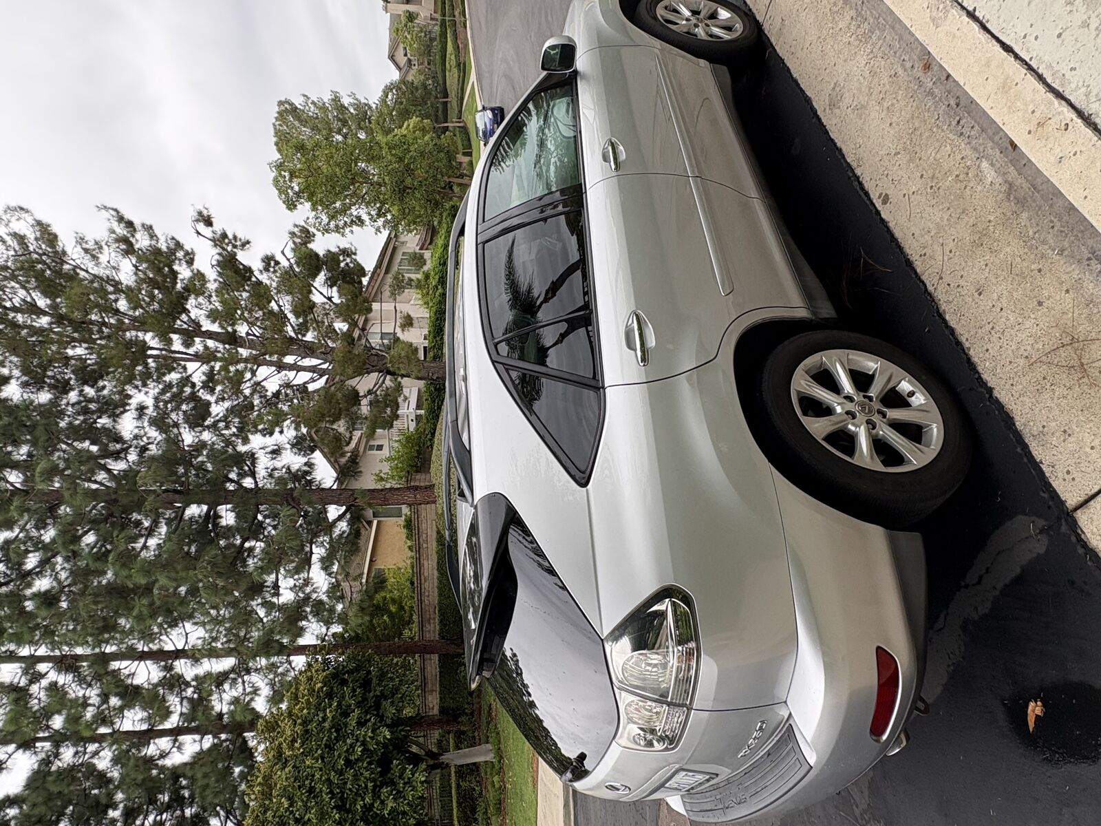 2009 Lexus RX