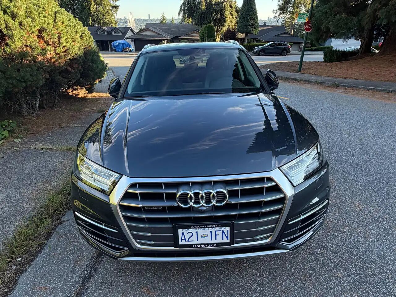 2019 Audi Q5