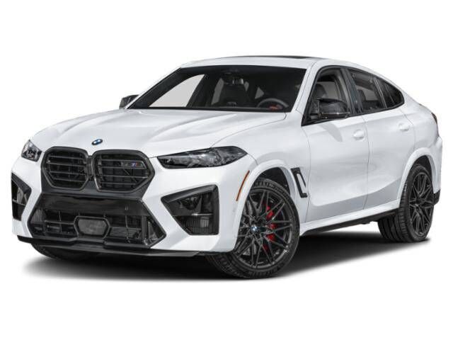 2024 BMW X6