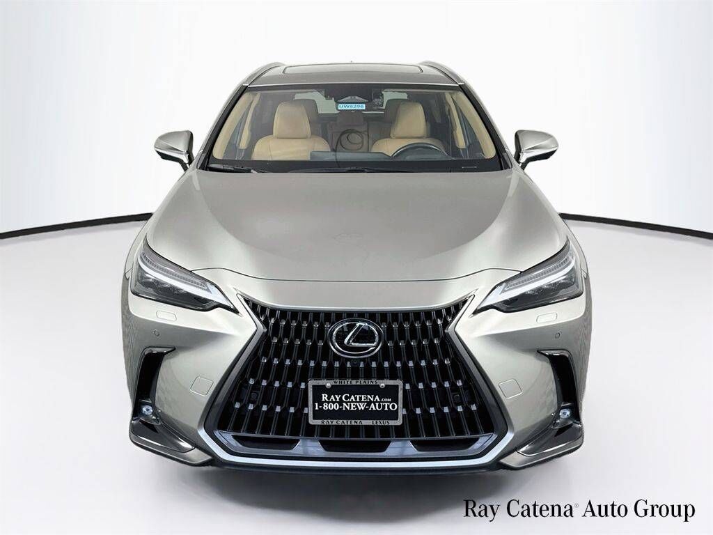2024 Lexus NX