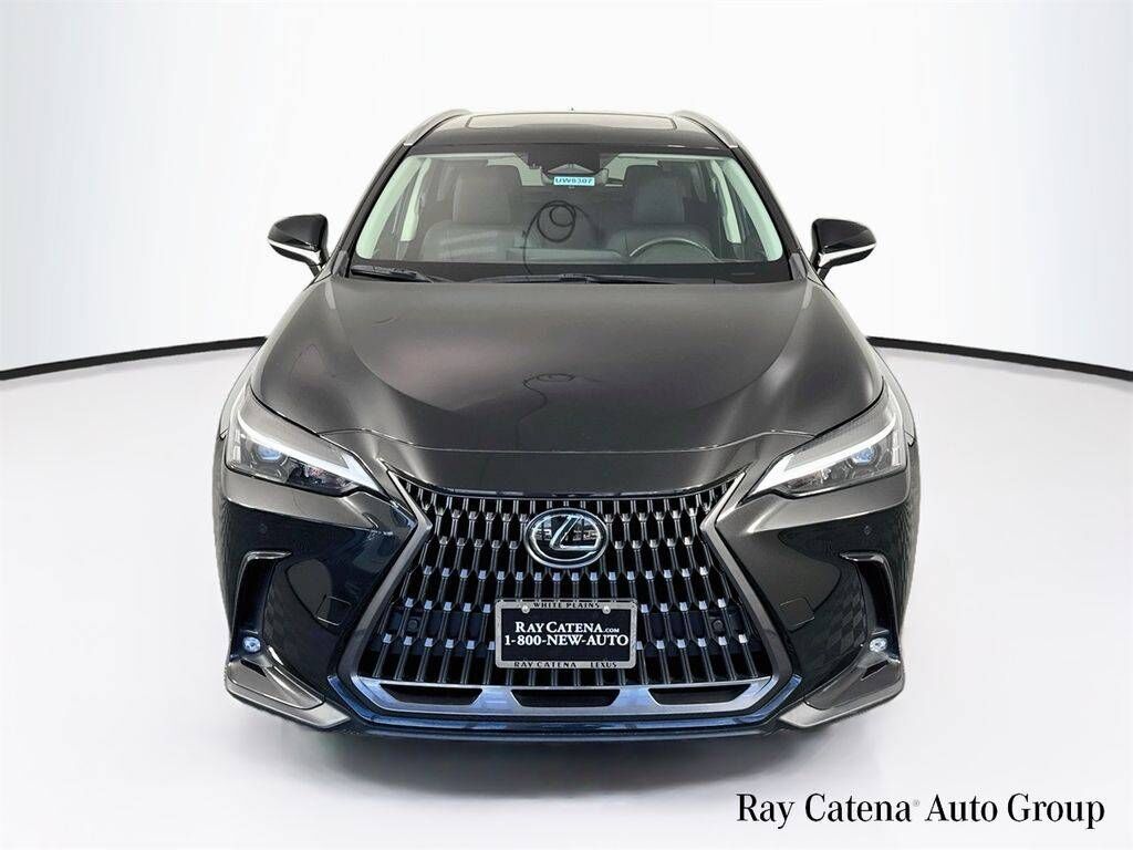 2024 Lexus NX