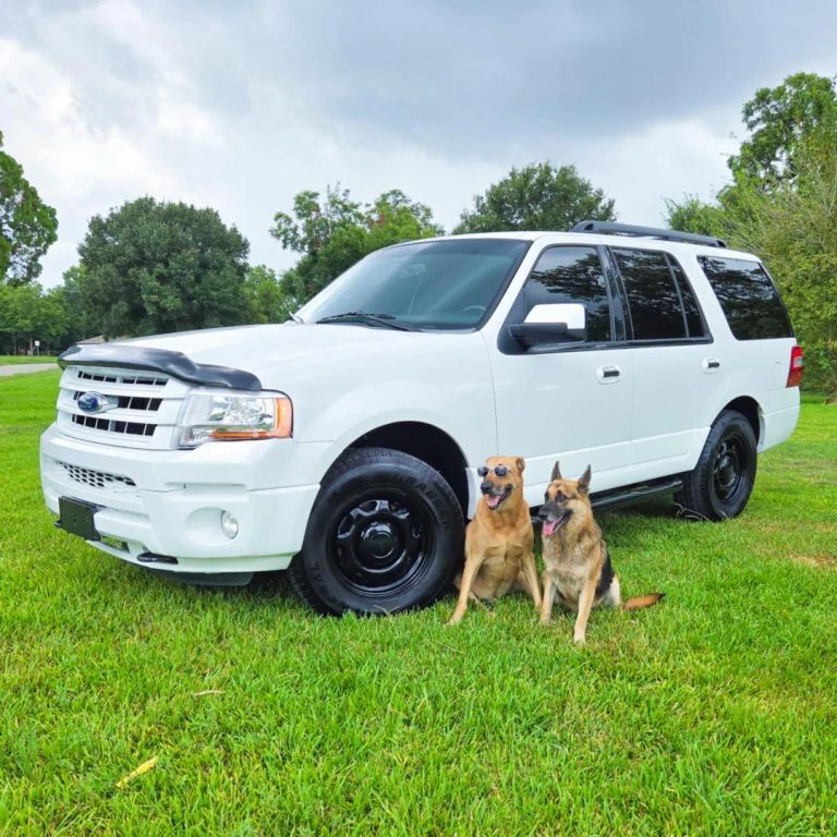 2016 FORD Expedition