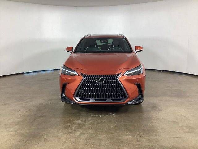 2024 Lexus NX