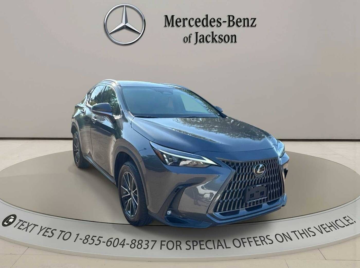 2024 Lexus NX