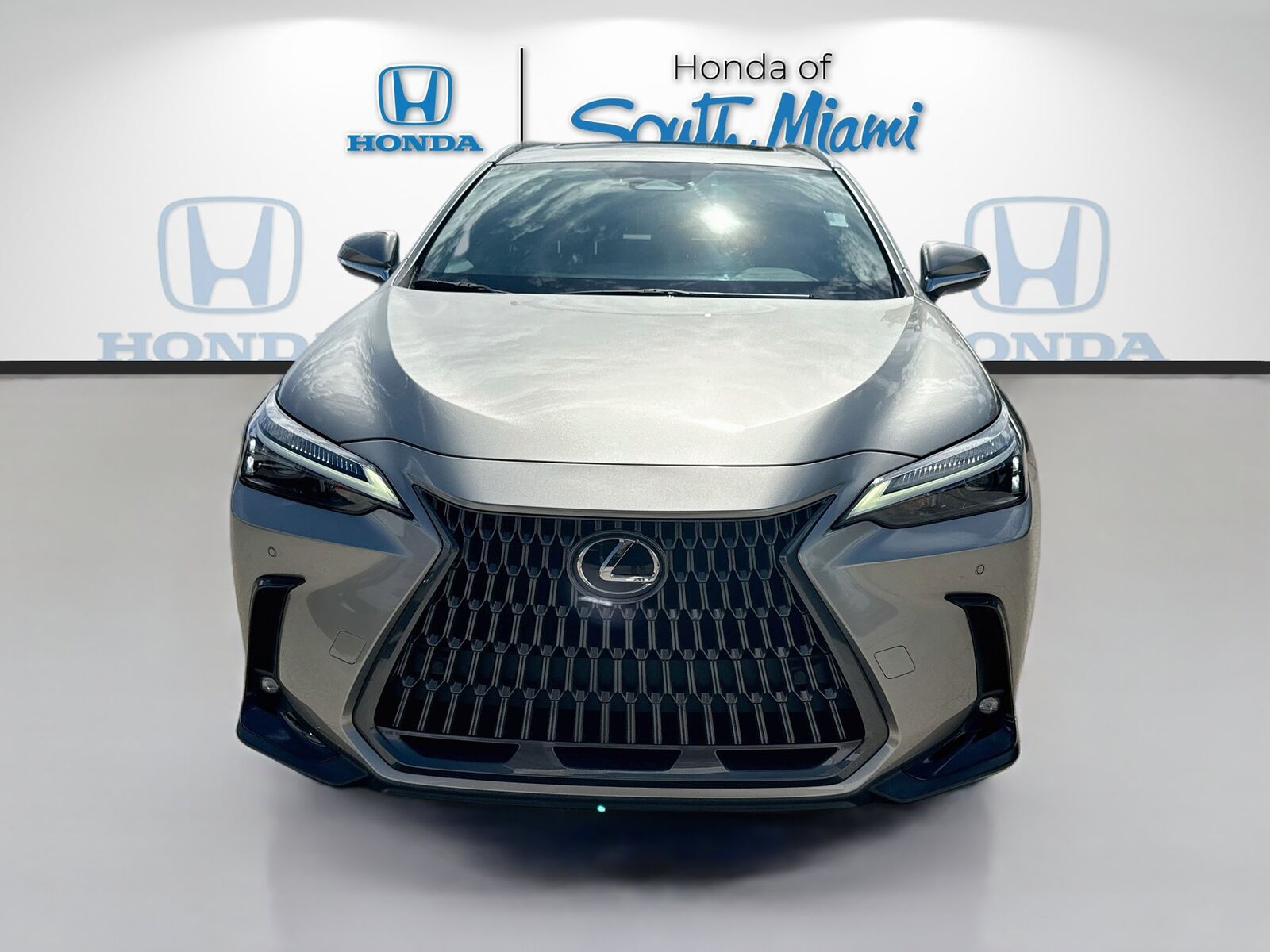 2024 Lexus NX