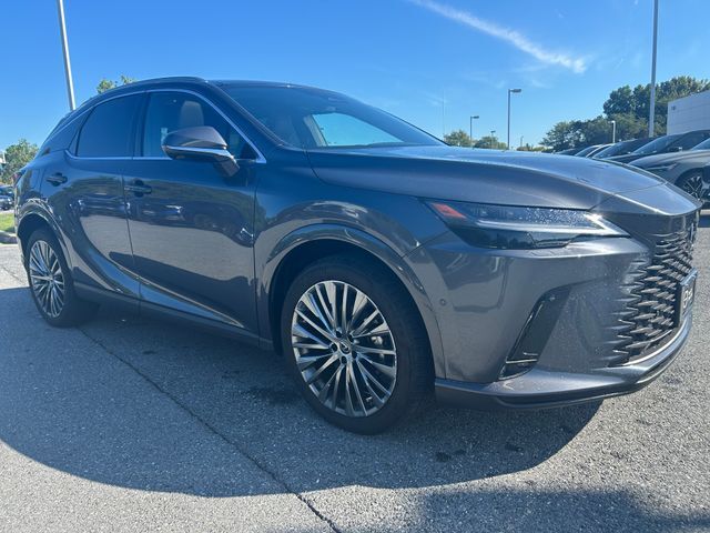 2024 LEXUS RX