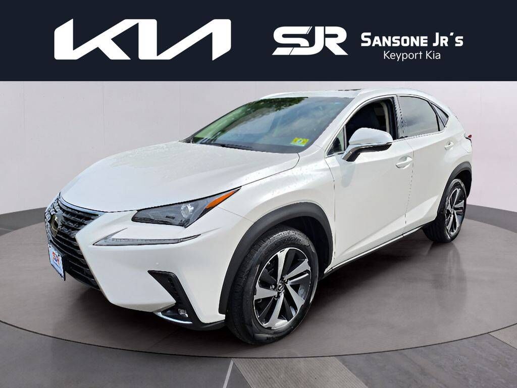 2019 LEXUS NX