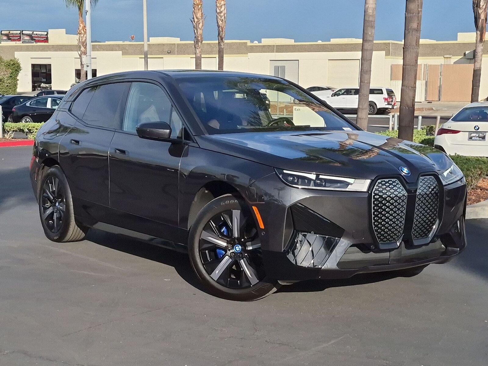 2025 BMW iX