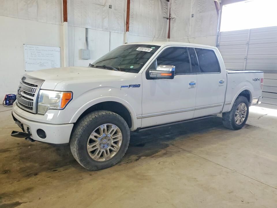 2009 FORD F-150