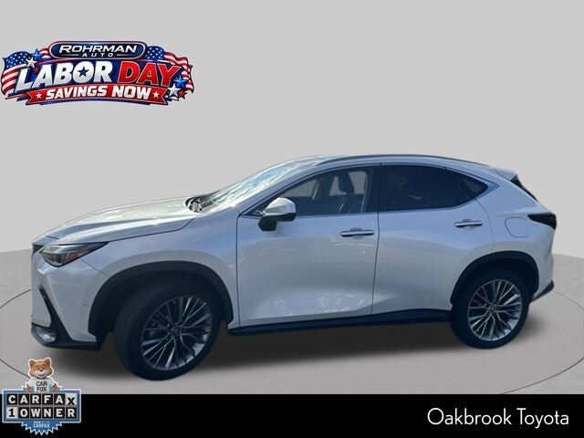 2022 LEXUS NX