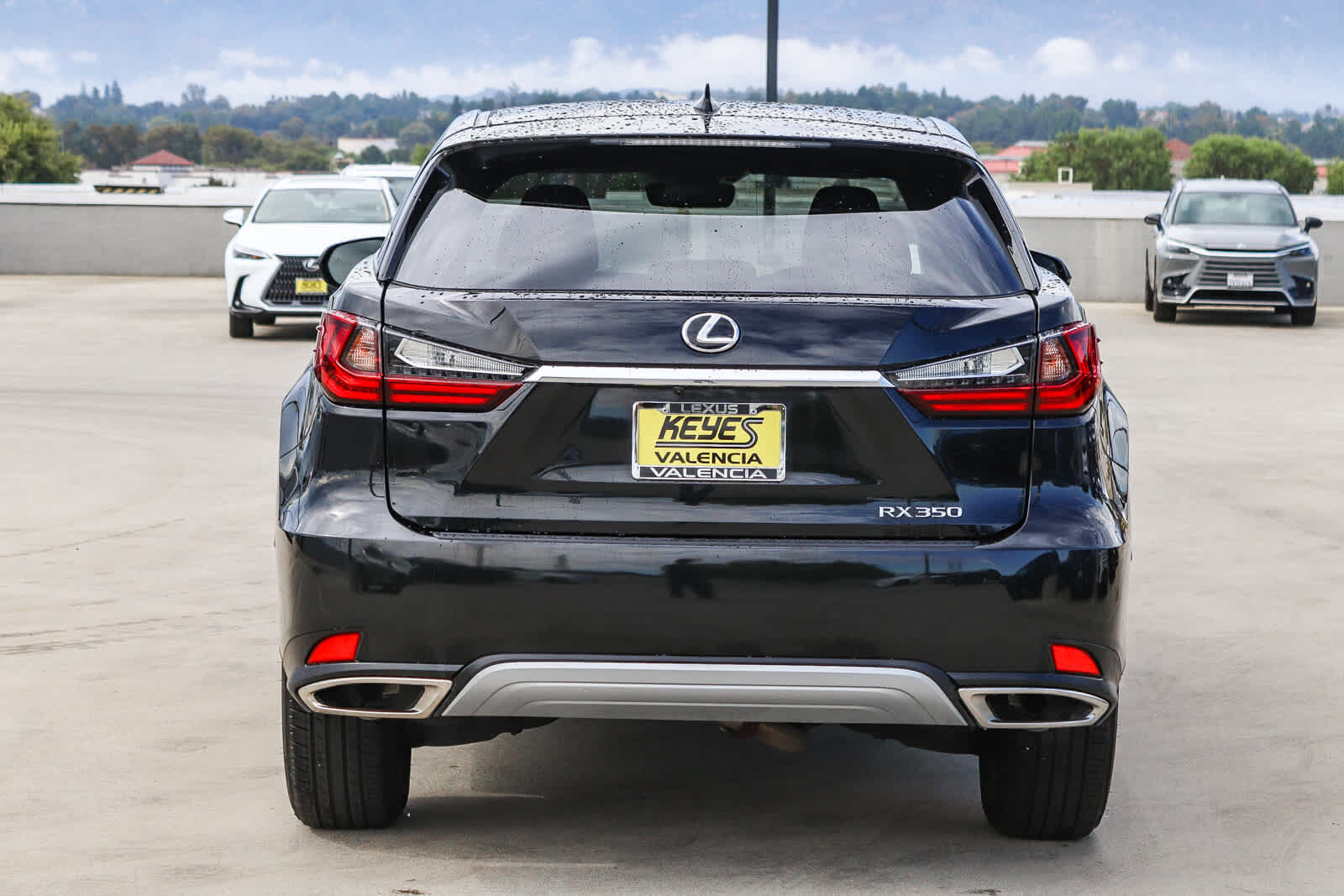 2021 Lexus RX