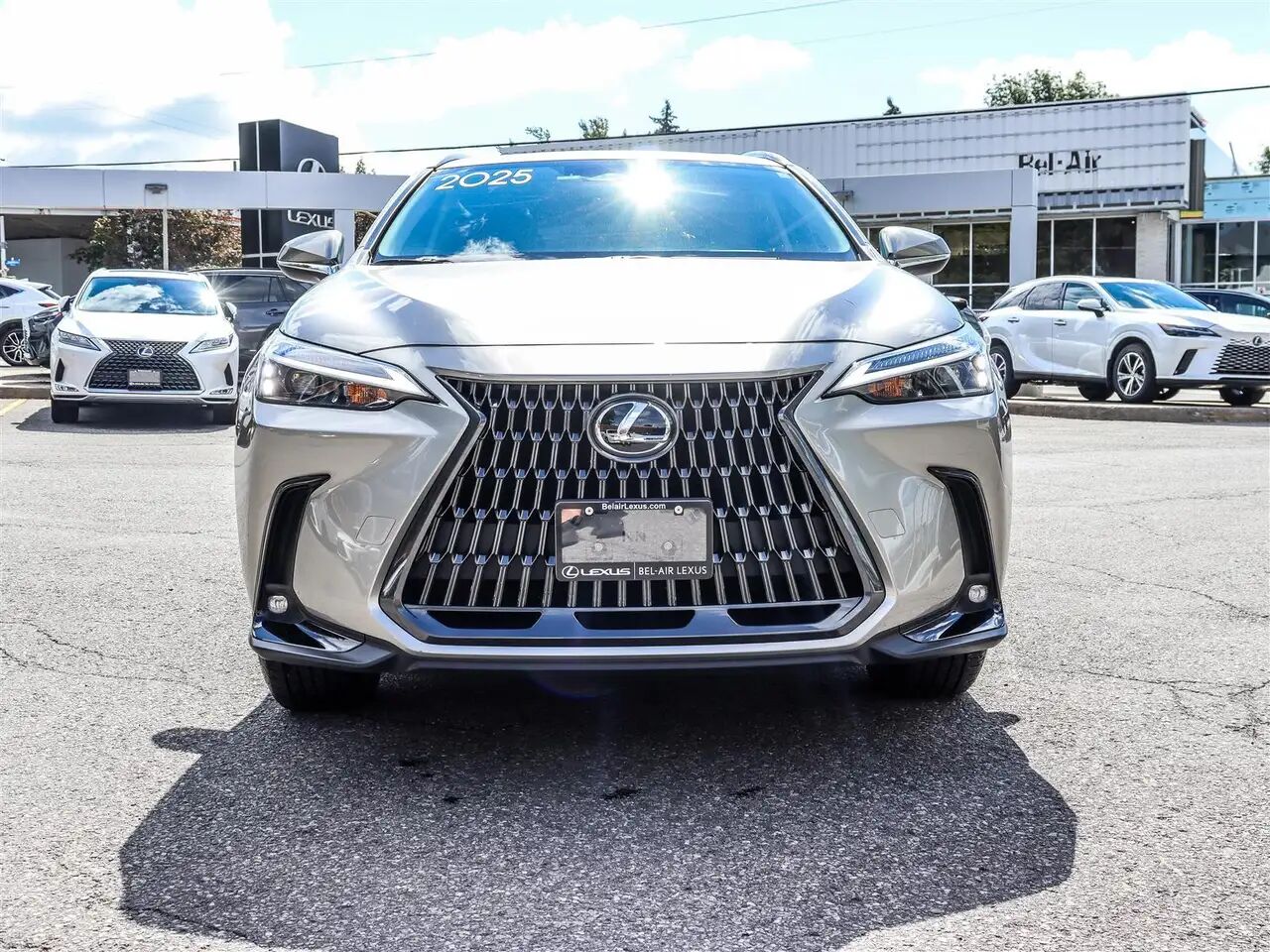 2025 Lexus NX