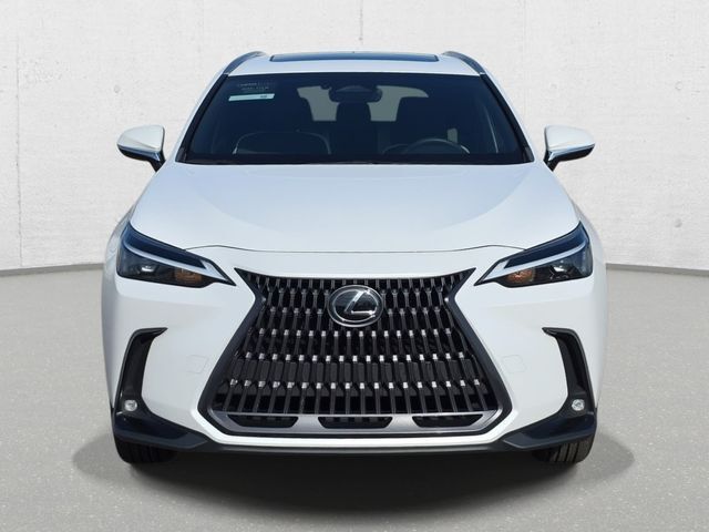 2024 Lexus NX
