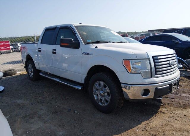 2010 FORD F-150