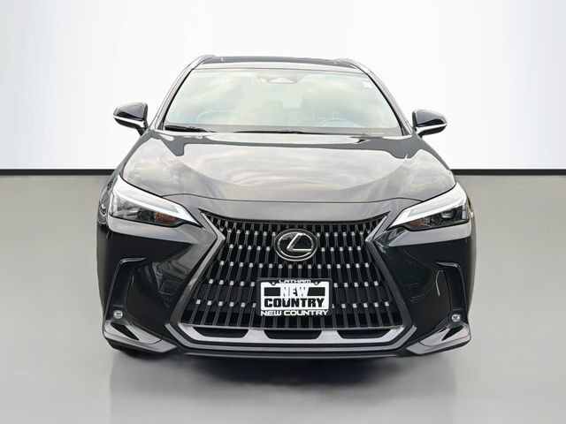 2024 Lexus NX