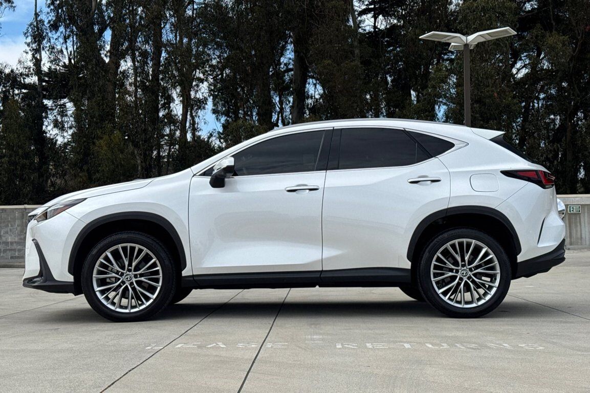 2024 Lexus NX