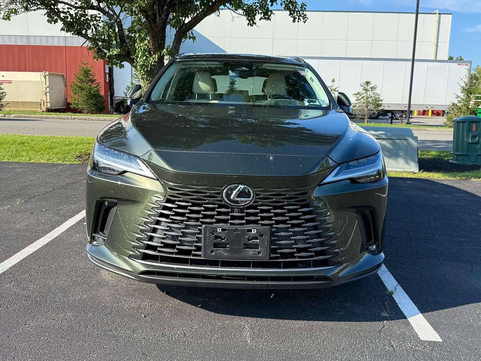 2024 Lexus RX