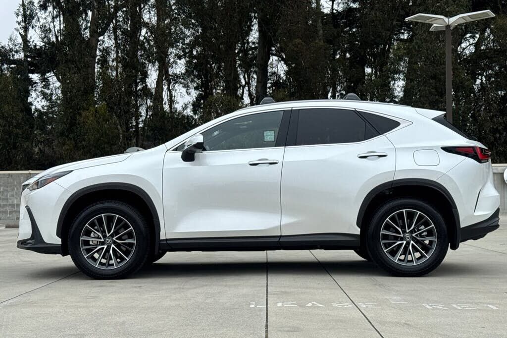 2025 Lexus NX