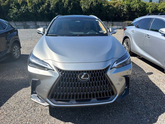 2022 Lexus NX