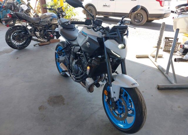 2025 YAMAHA MTN690