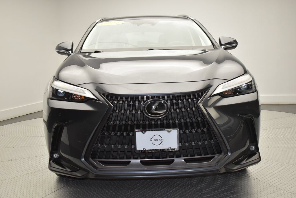 2024 Lexus NX