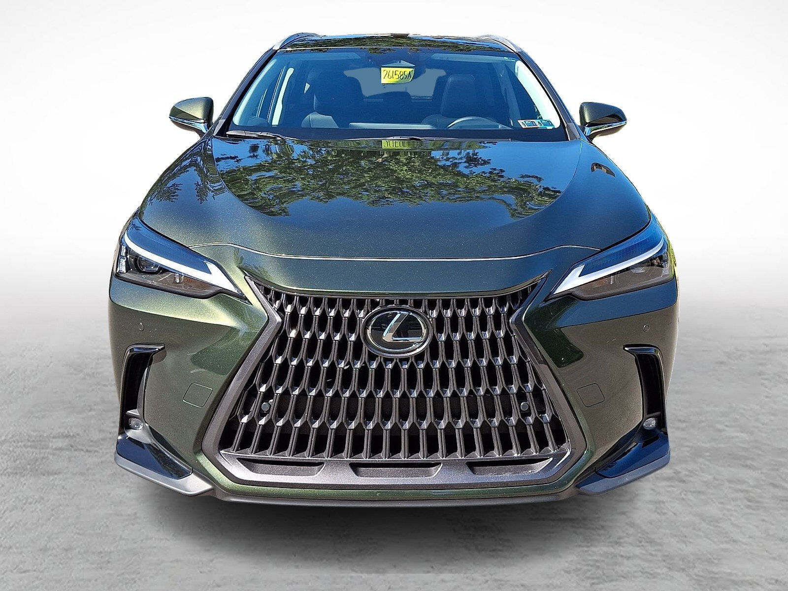 2024 Lexus NX