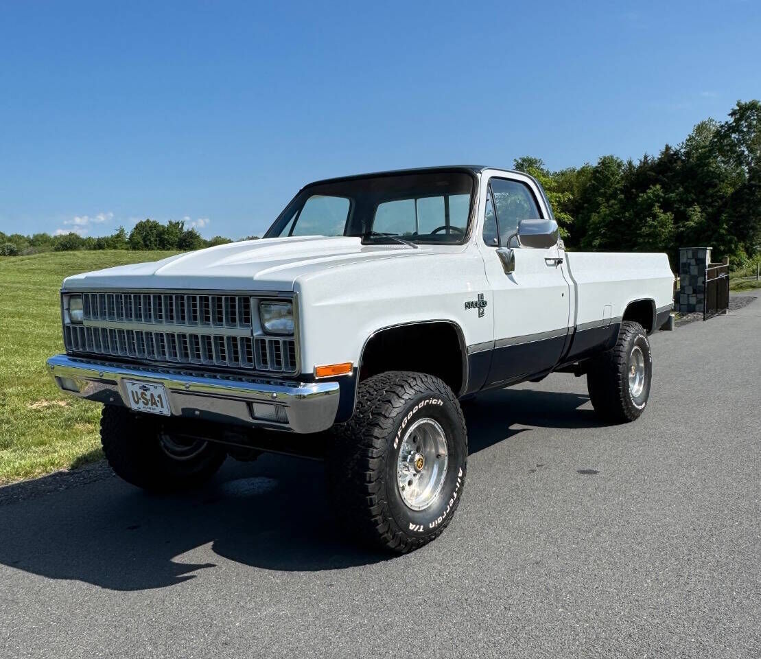1981 CHEVROLET C/K Pickup