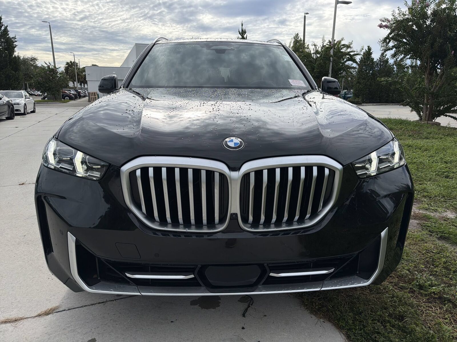 2024 BMW X5
