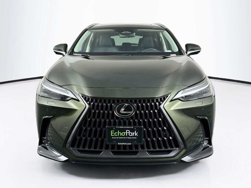 2024 Lexus NX