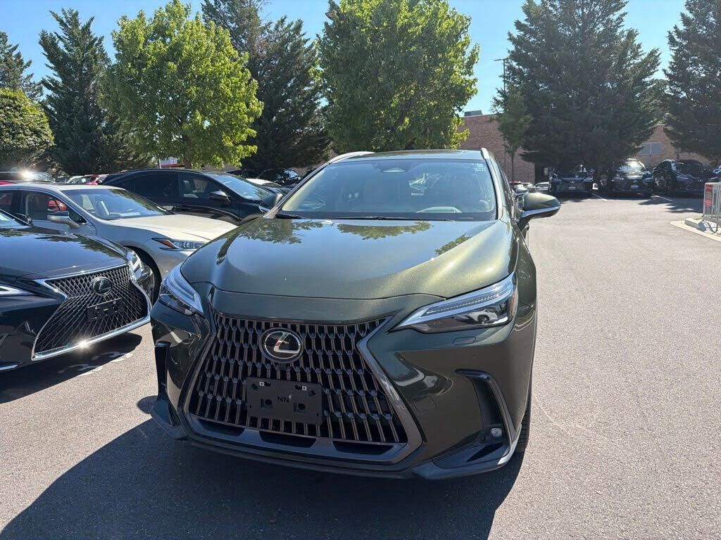 2024 Lexus NX