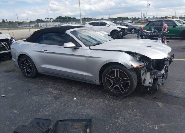 2019 FORD Mustang